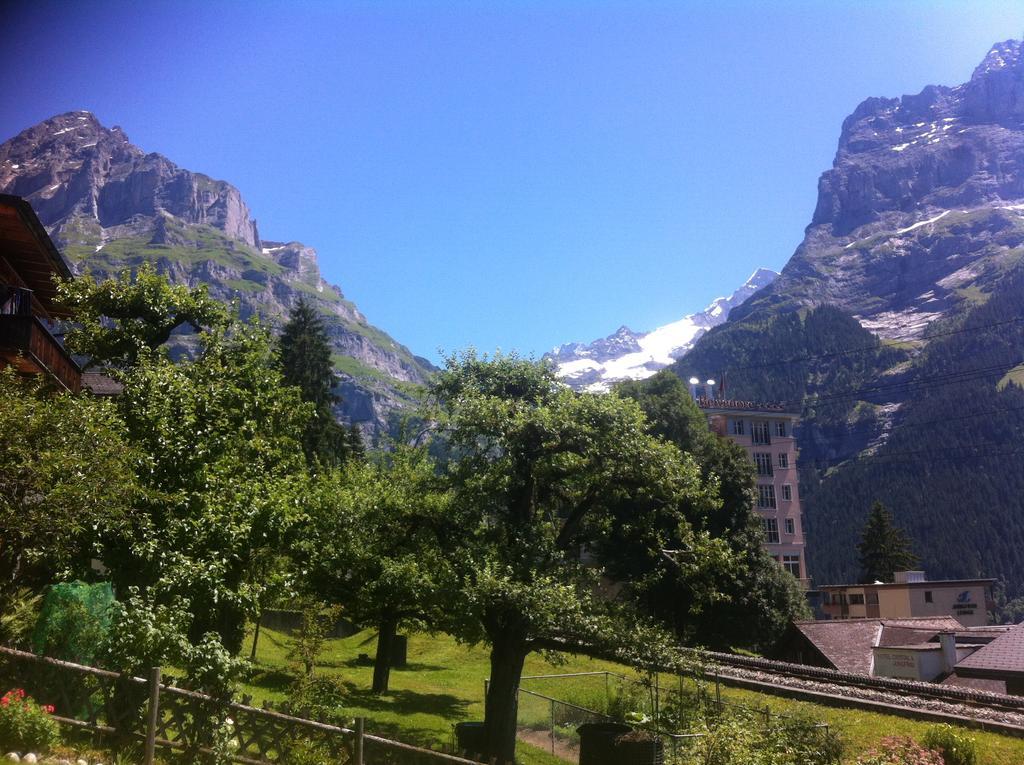 "Studio Edelweiss" Spillstatthus Grindelwald Exterior foto